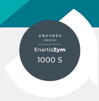ENARTIS ZYM 1000 S  Ferments pūdera veidā , 250g