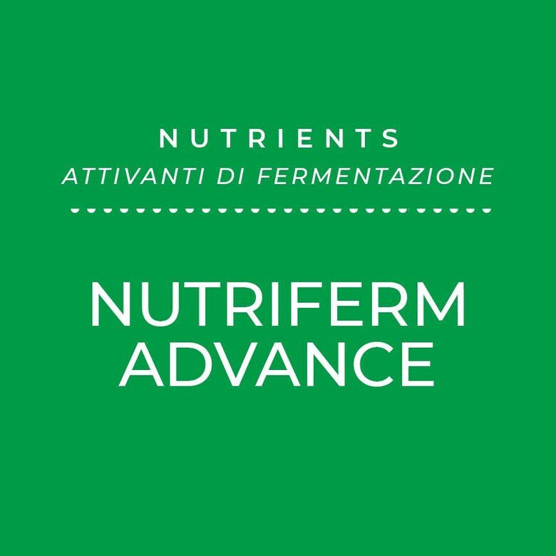 ENARTIS NUTRIFERM ADVANCE rauga barības vielas , 1kg