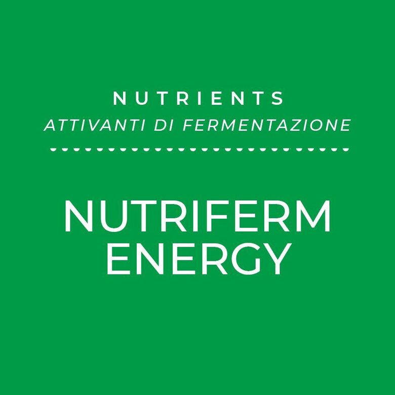 ENARTIS NUTRIFERM ENERGY rauga barības vielas , 1kg