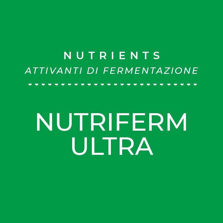 ENARTIS Nutriferm Ultra barības vielas, 1 kg