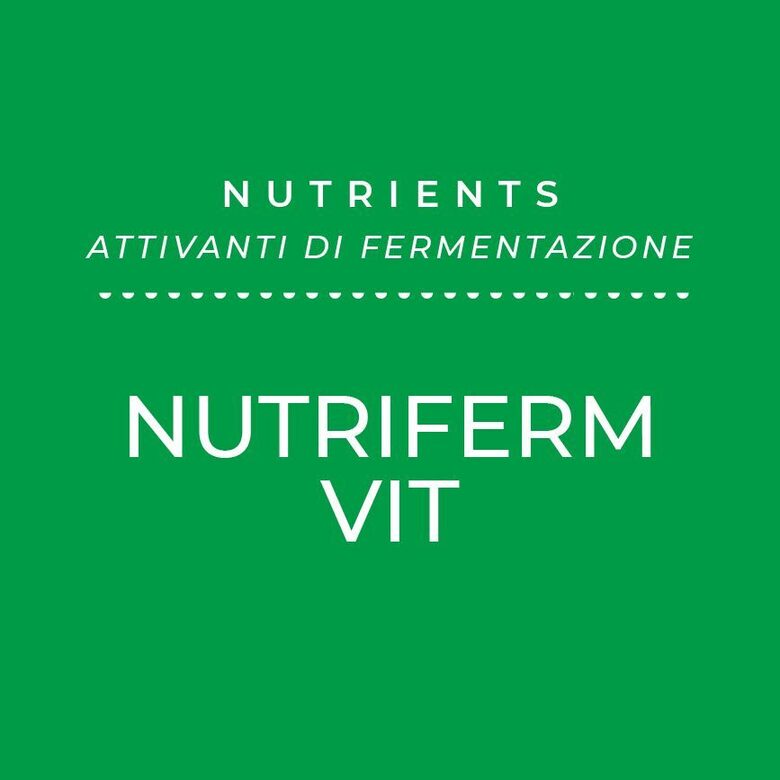 ENARTIS NUTRIFERM VIT rauga barības vielas , 1kg