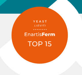 ENARTIS FERM TOP15 raugs, 0.5 kg
